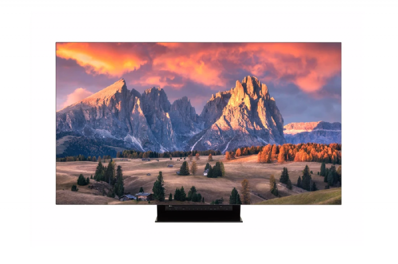 LG 65EP5GPro ─ Профпанель OLED, UHD, 120Гц