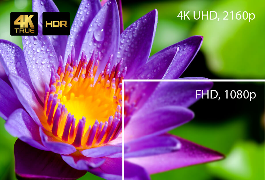 Визуальная четкость True 4K, HDR. Поддерживает разрешения до 4096 x 2160 при 60 Гц (4:4:4) с HDR для обеспечения четкости подачи материалов каждой презентации. Визуальная четкость True 4K, HDR. Поддерживает разрешения до 4096 x 2160 при 60 Гц (4:4:4) с HDR для обеспечения четкости подачи материалов каждой презентации.