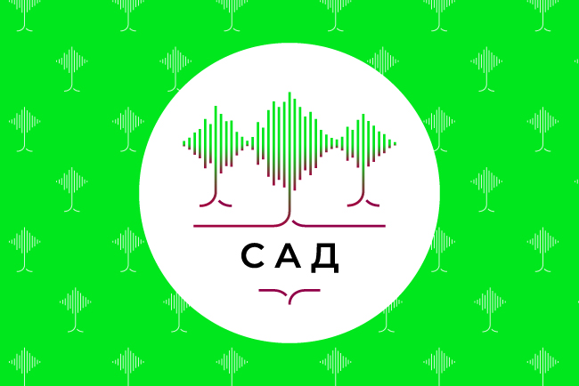 Студия акустического дизайна компании Хай-Тек Медиа