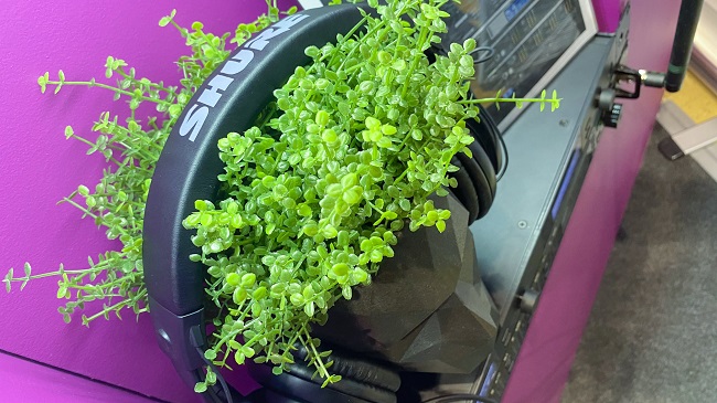 Фото 6: Компания "Хай-Тек Медиа" на выставке на выставке Prolight + Sound NAMM, 16-18 сентября 2021